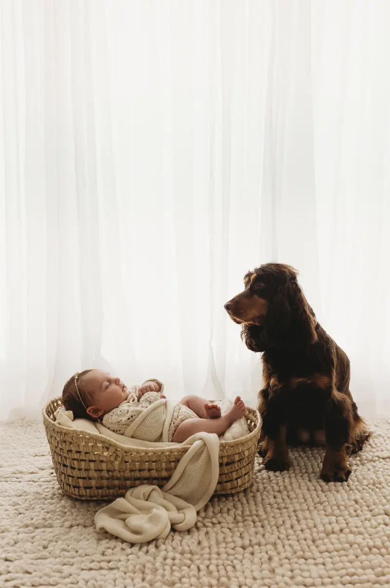 Untitled-design-2026-05-14T151057.234.webp